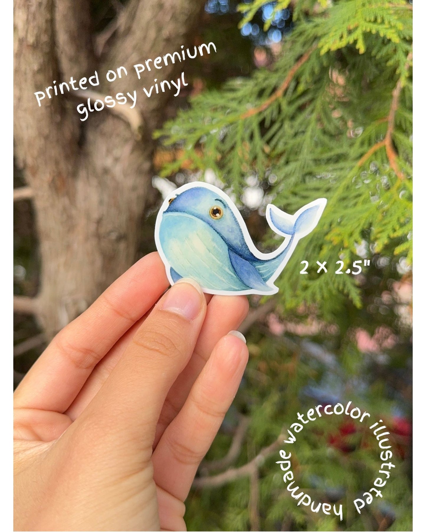 Vinyl sticker - Whale