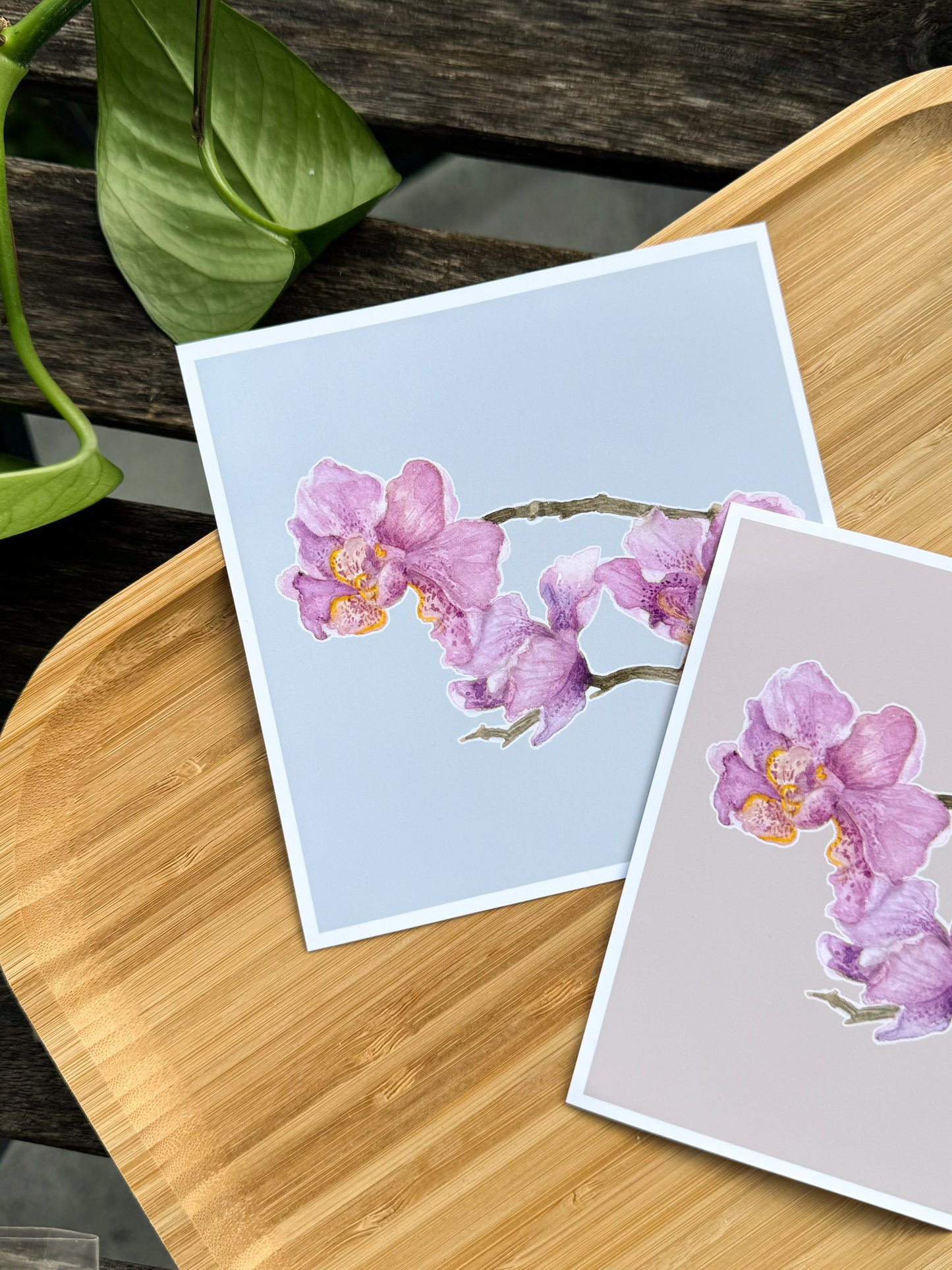 Art print - Still life orchids study