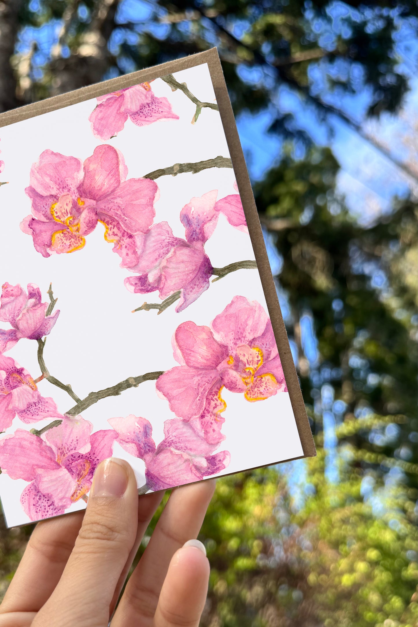 Greeting card - Orchidées