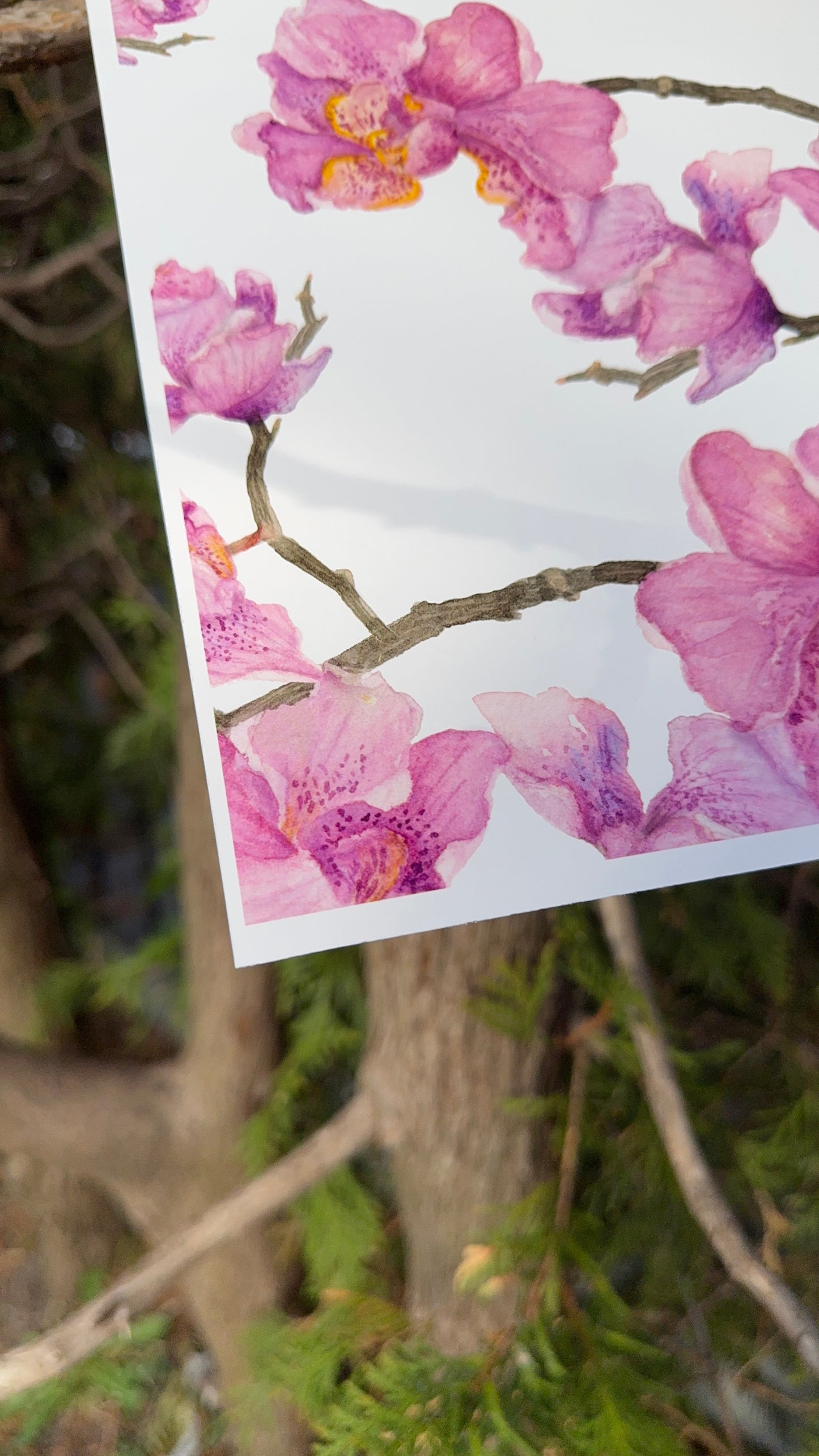 Art print - Orchids