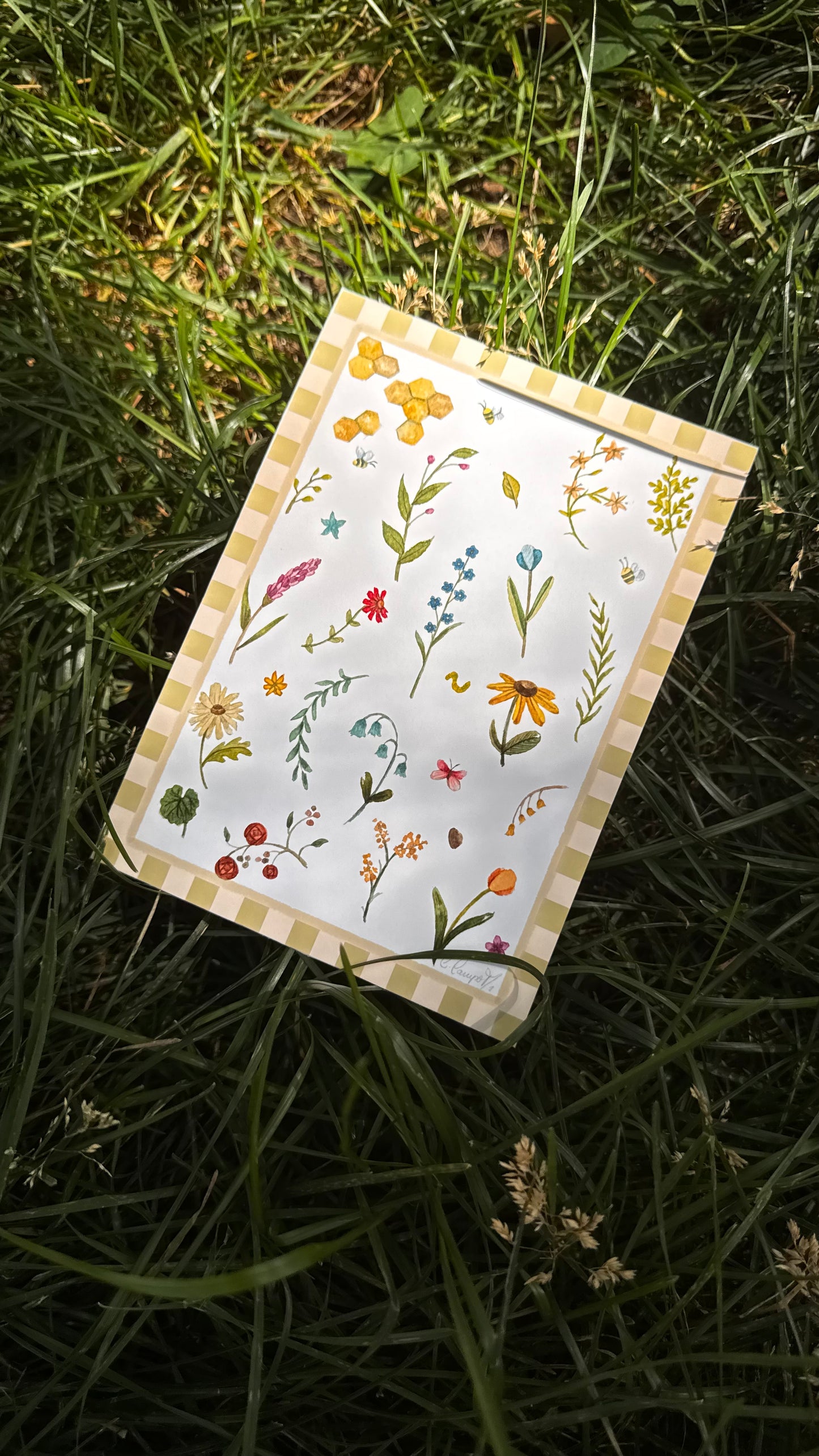 Art print - Fleurs Sauvages