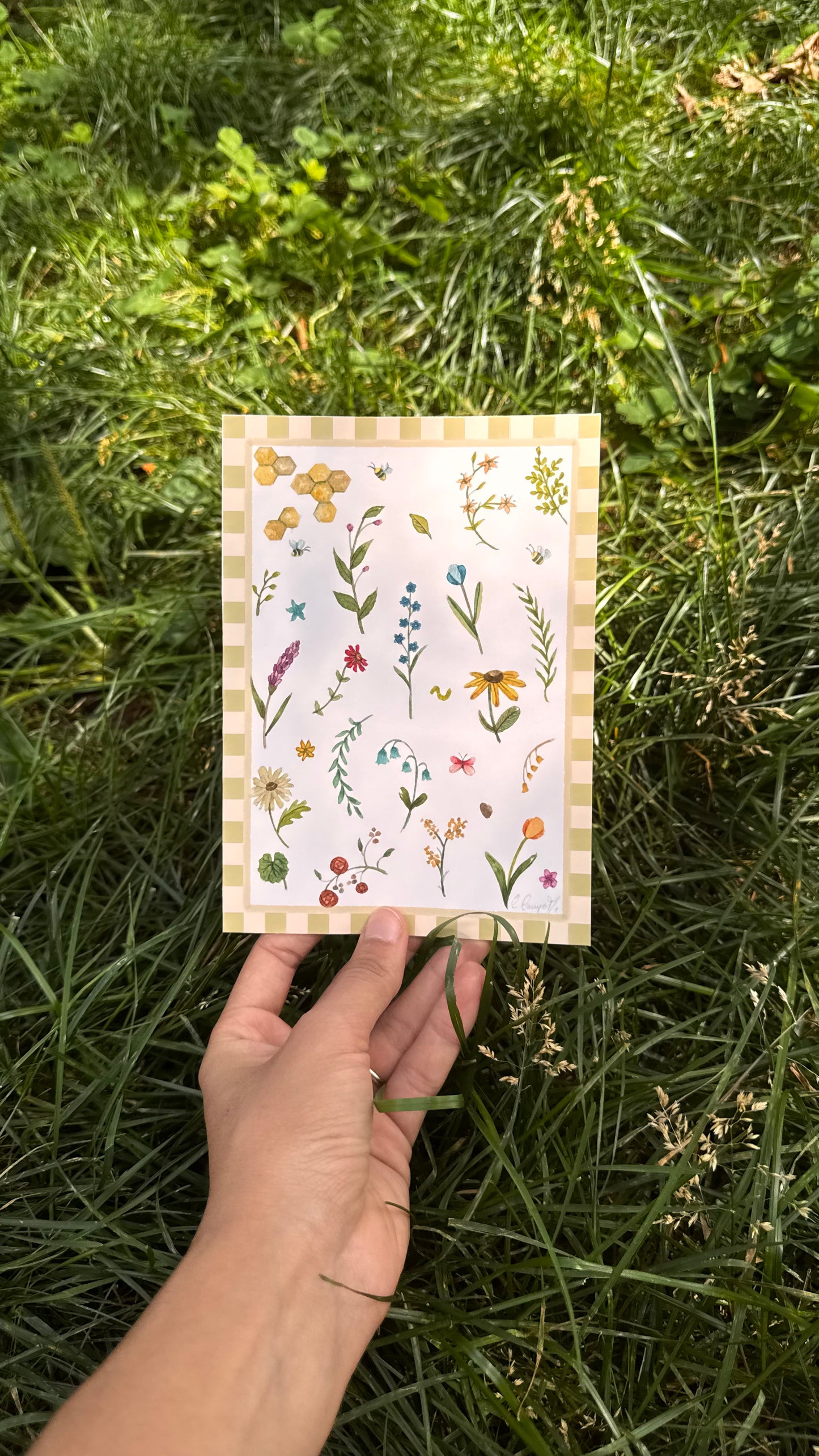Art print - Fleurs Sauvages