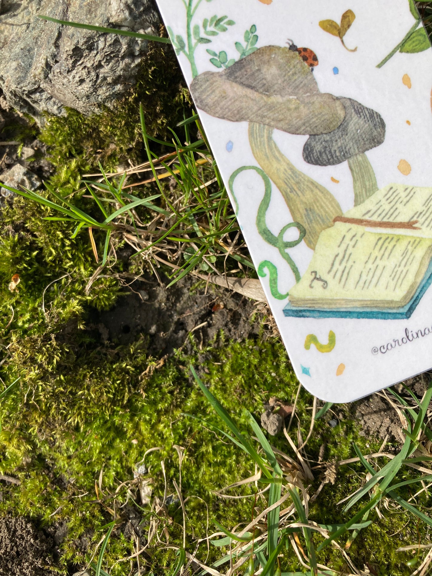 Bookmark- Mushroom book