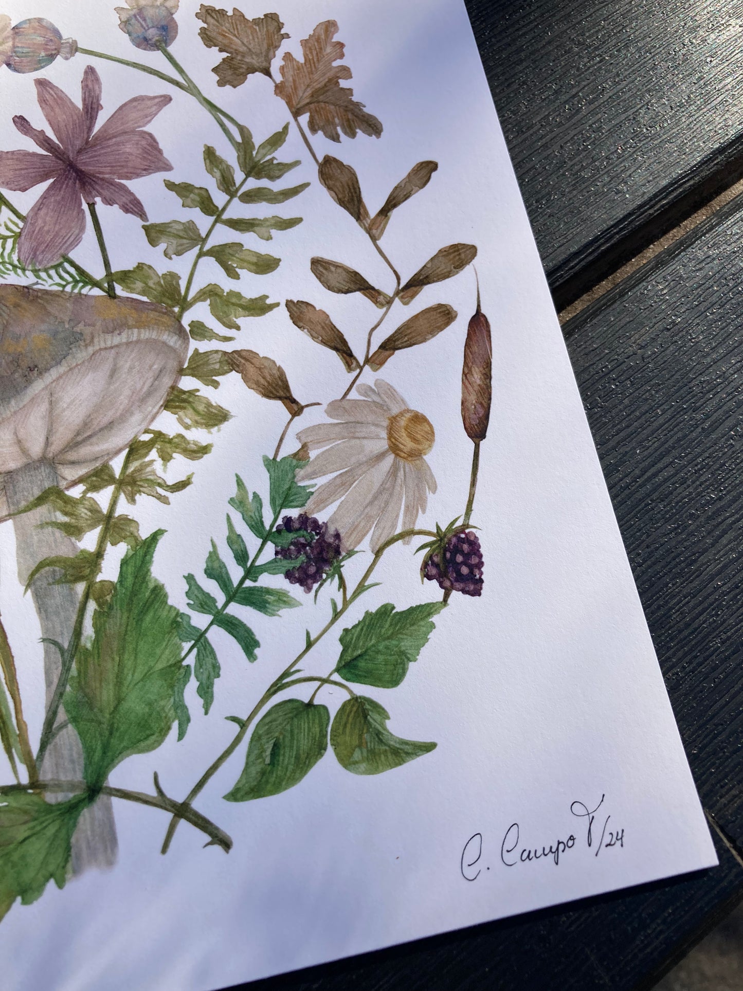 Art print - Down the secret garden