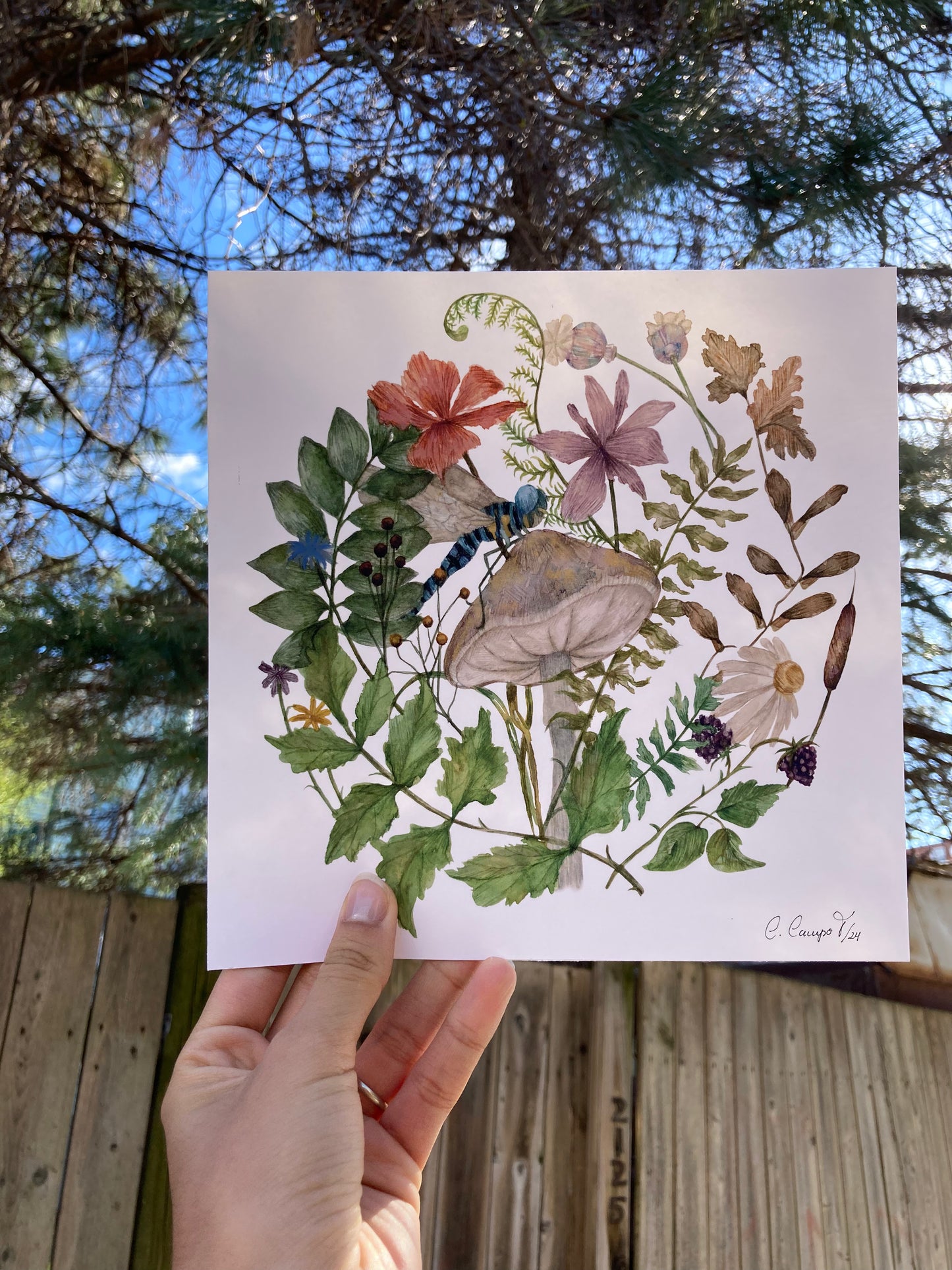 Art print - Down the secret garden