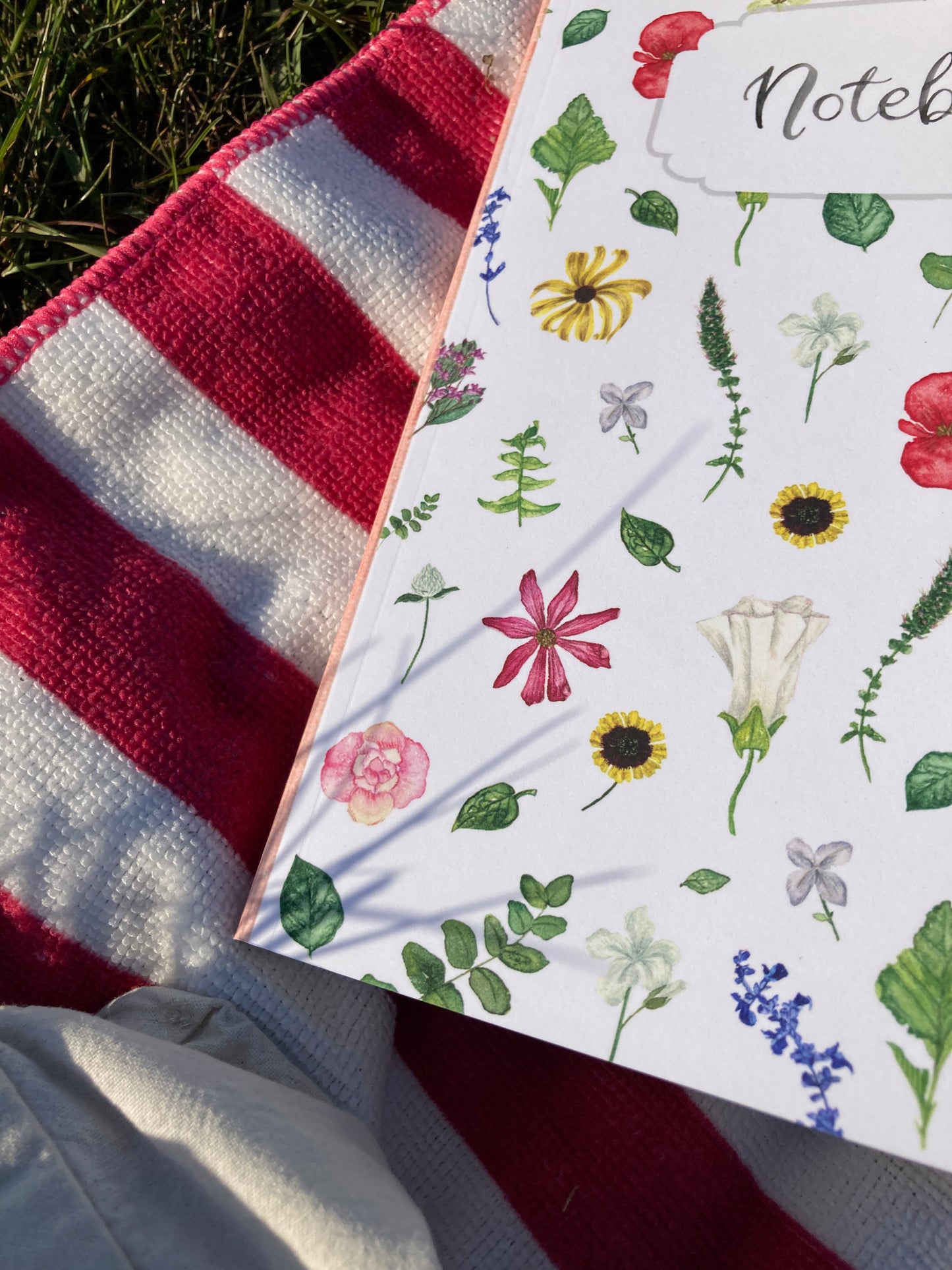 Notebooks