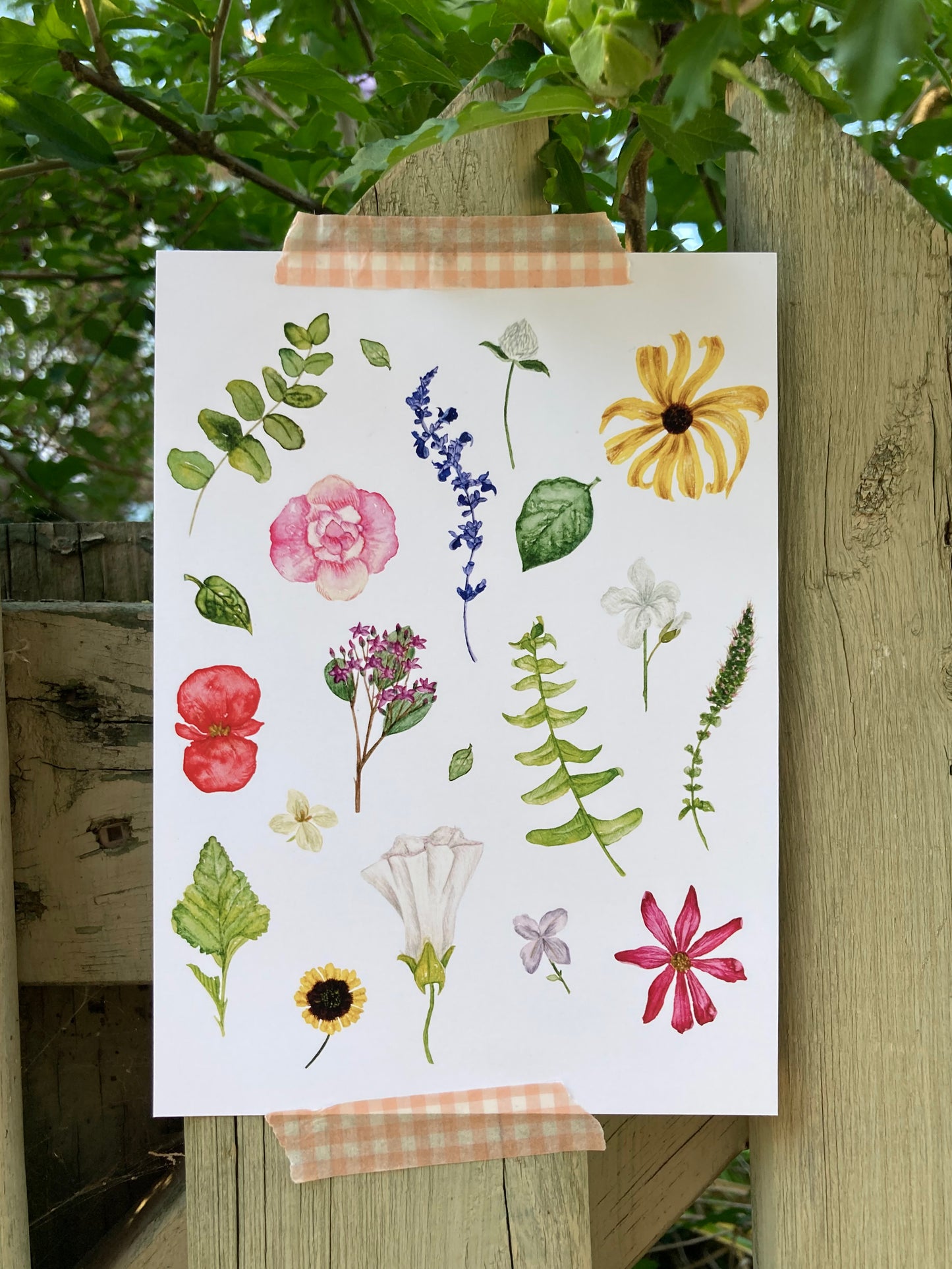 Art print - Summer 22'
