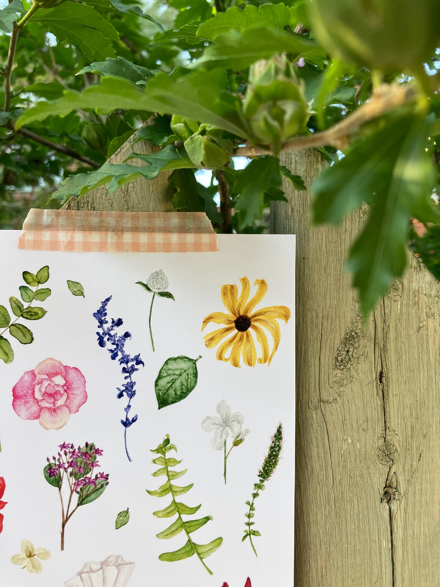 Art print - Summer 22'
