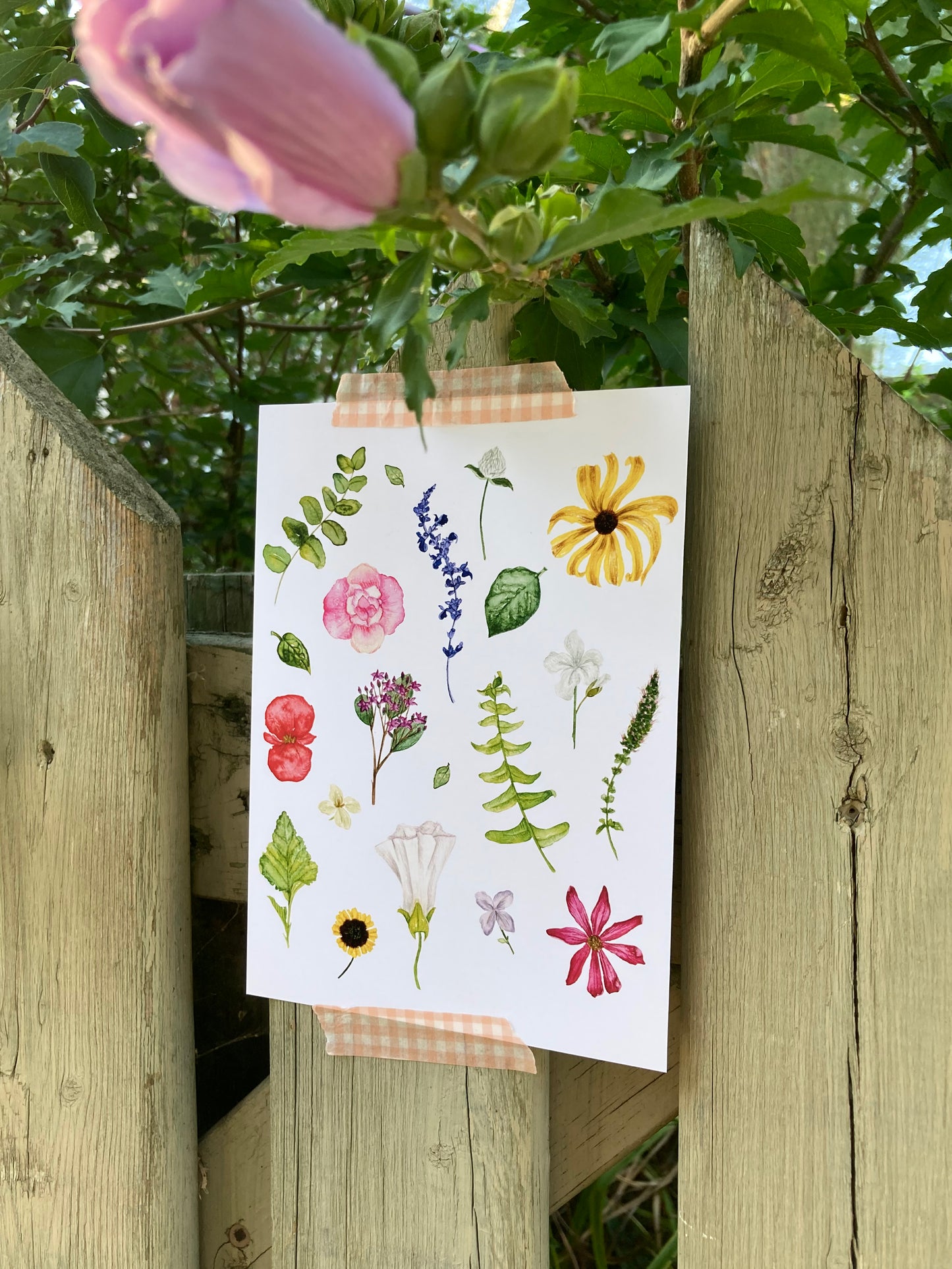 Art print - Summer 22'