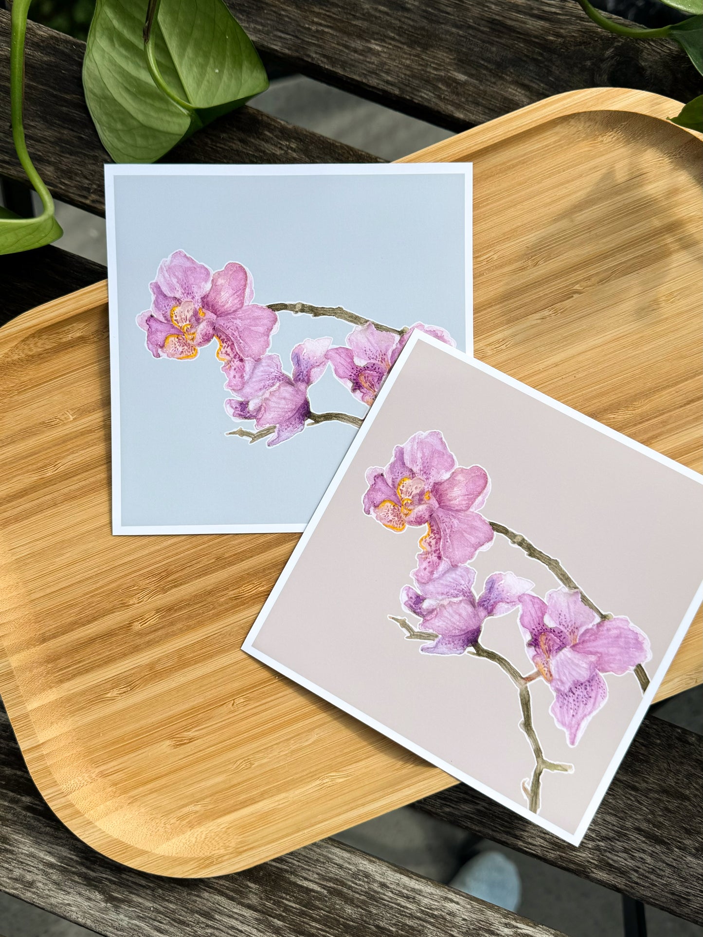 Art print - Still life orchids study