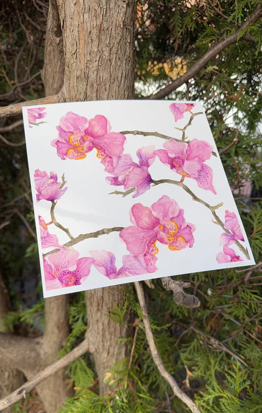 Art print - Orchids