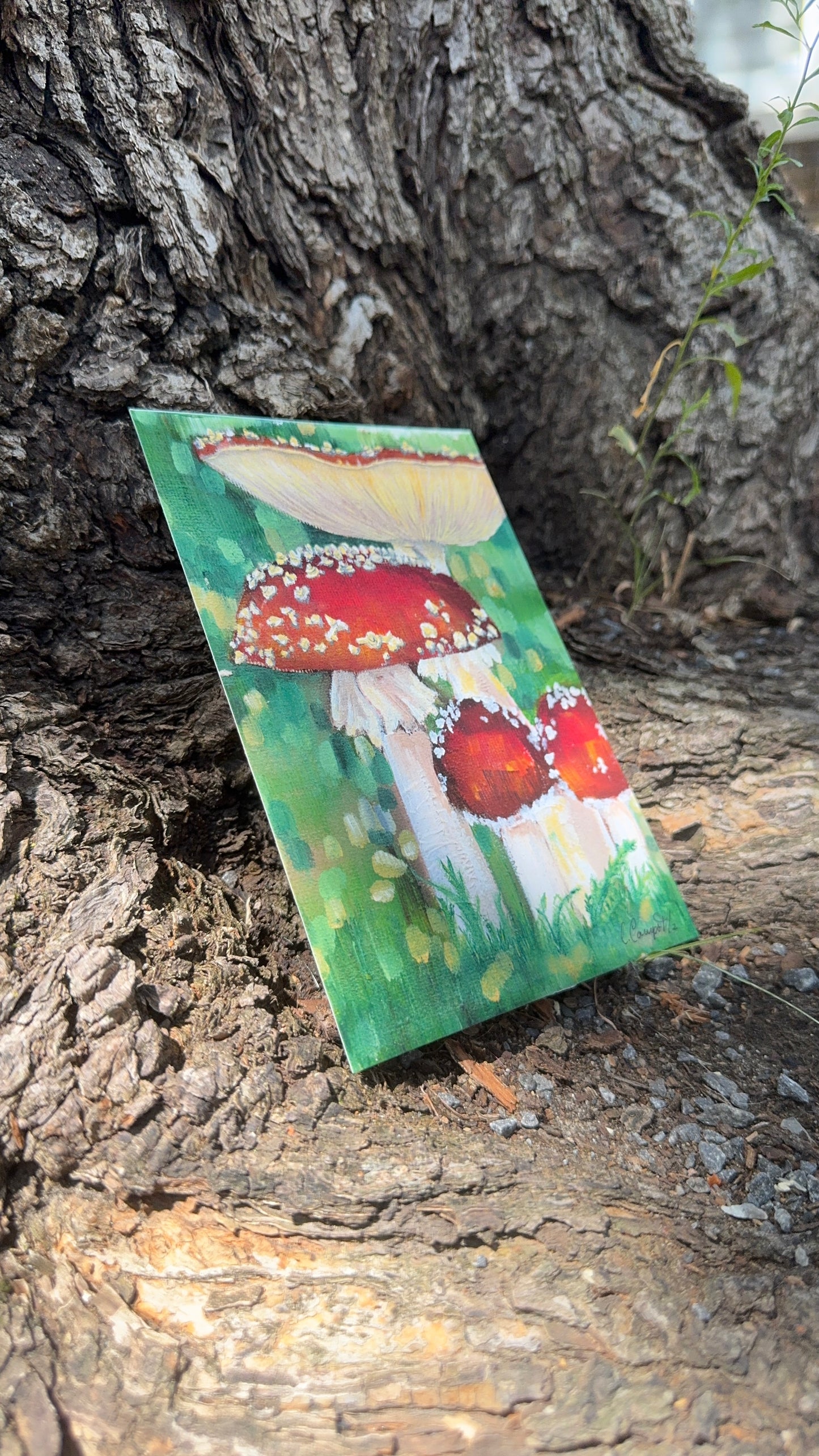 Art print - Amanitas