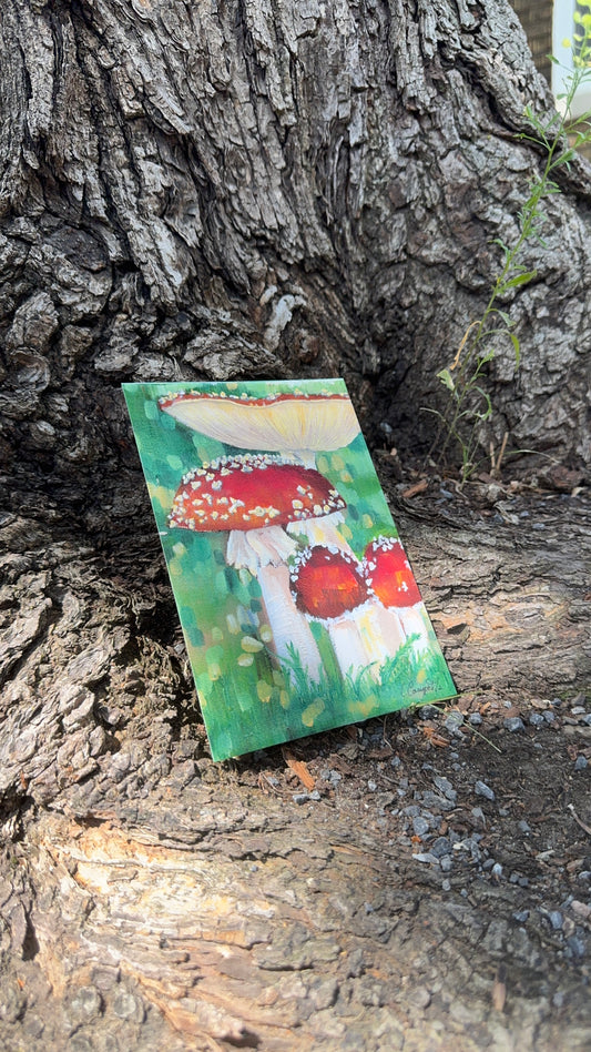 Art print - Amanitas