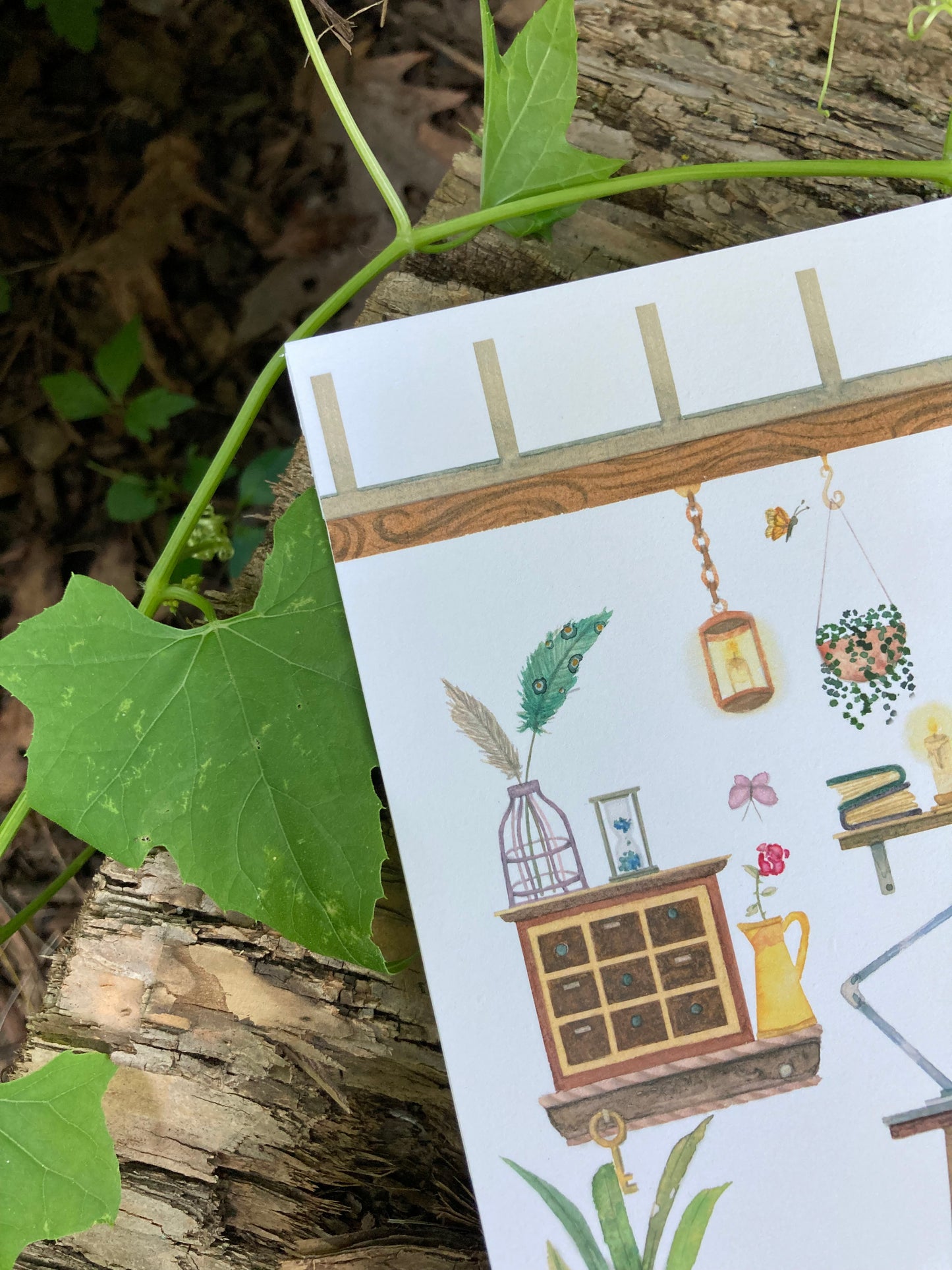 Art print - Apothecary