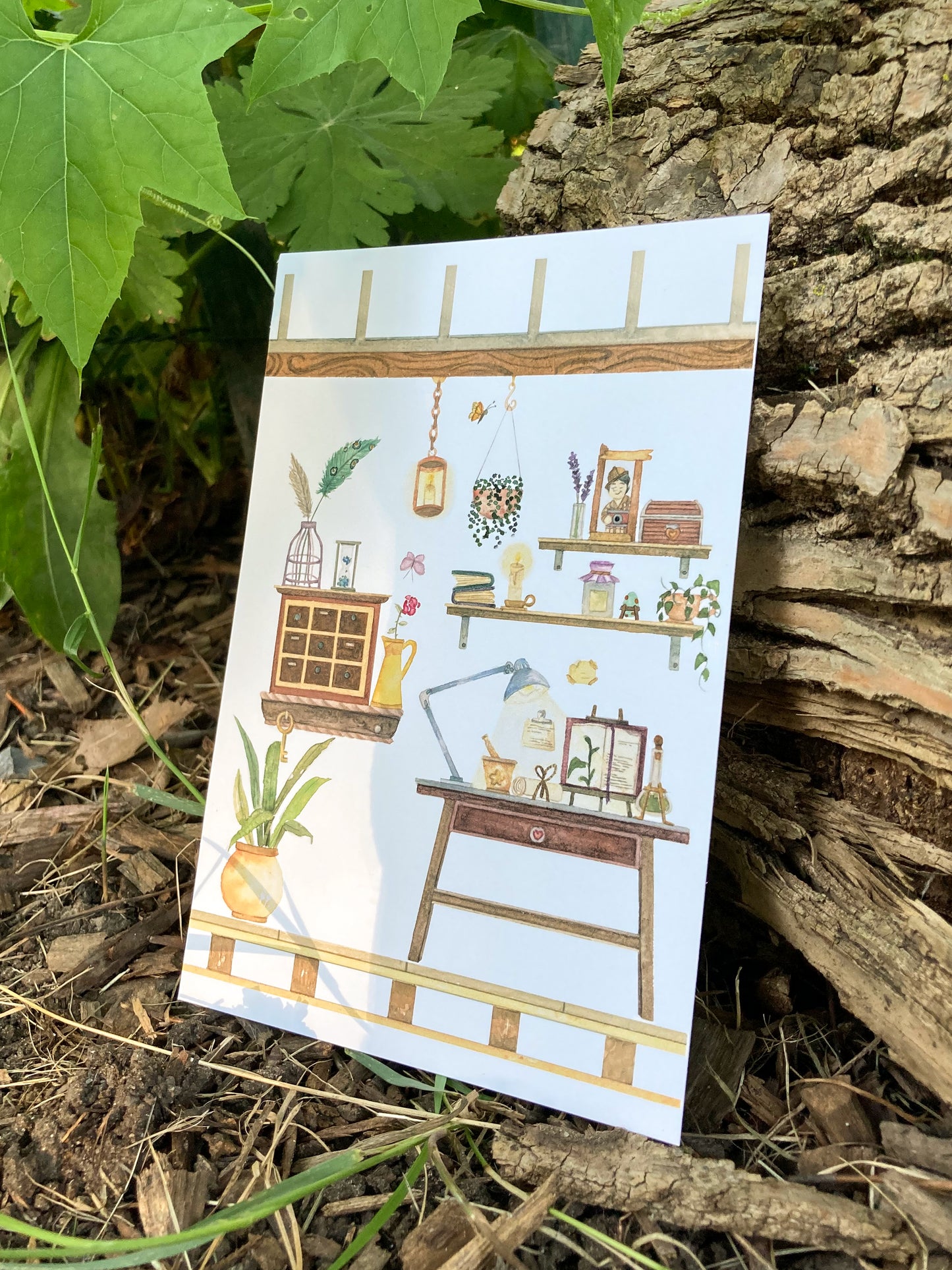 Art print - Apothecary