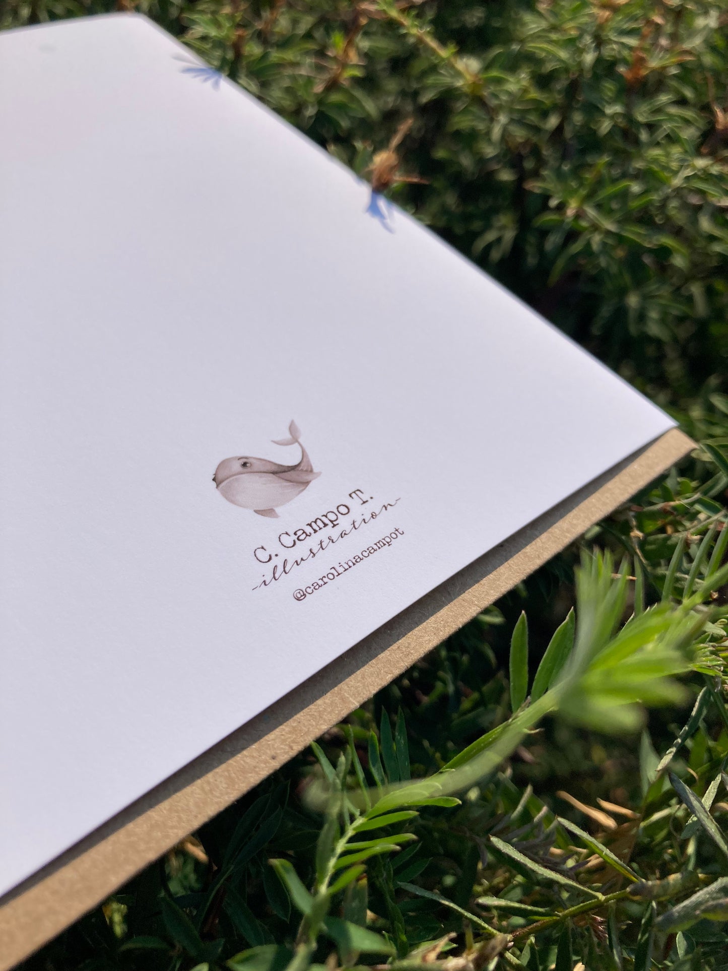 Greeting card - With love Acorn