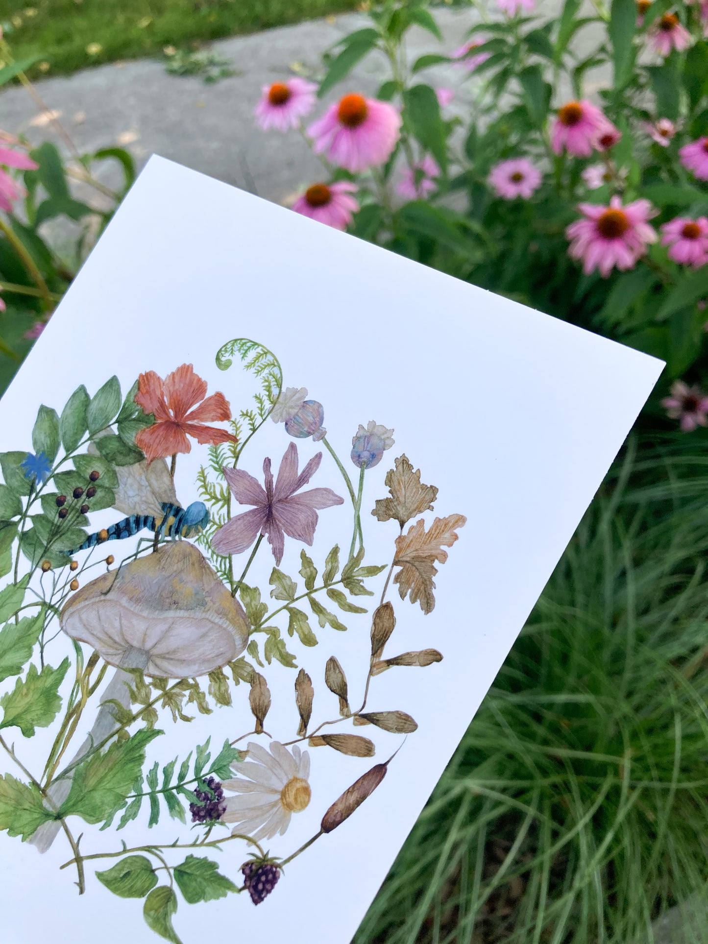 Art print - Down the secret garden