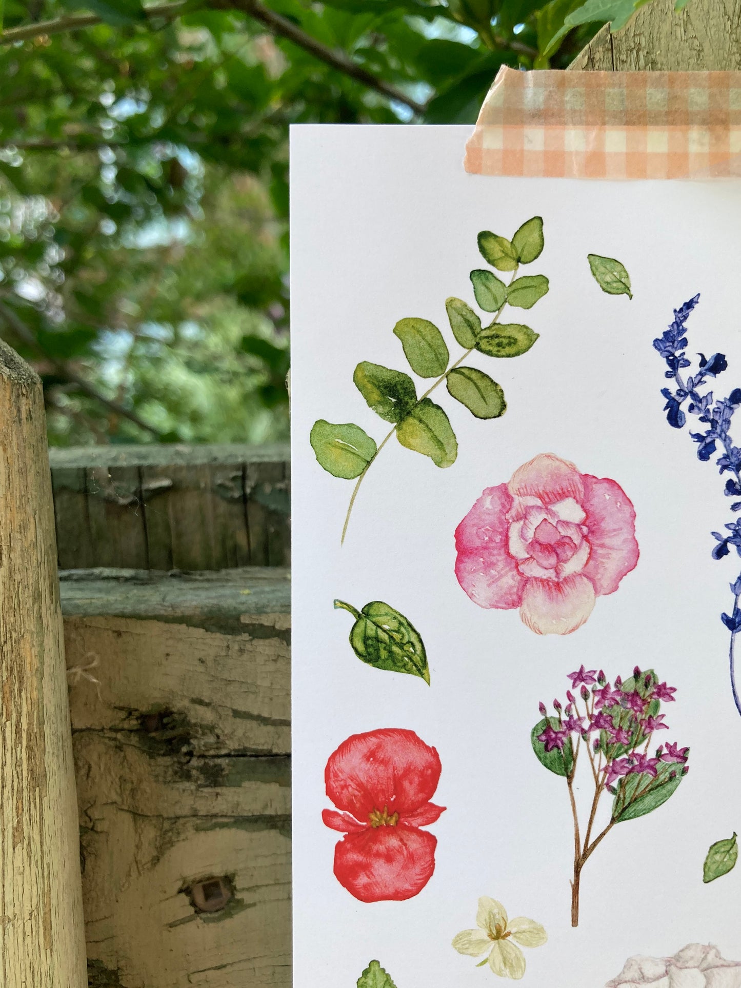 Art print - Summer 22'